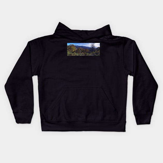 Blue Ridge Mountains Panorama Kids Hoodie by pdpress